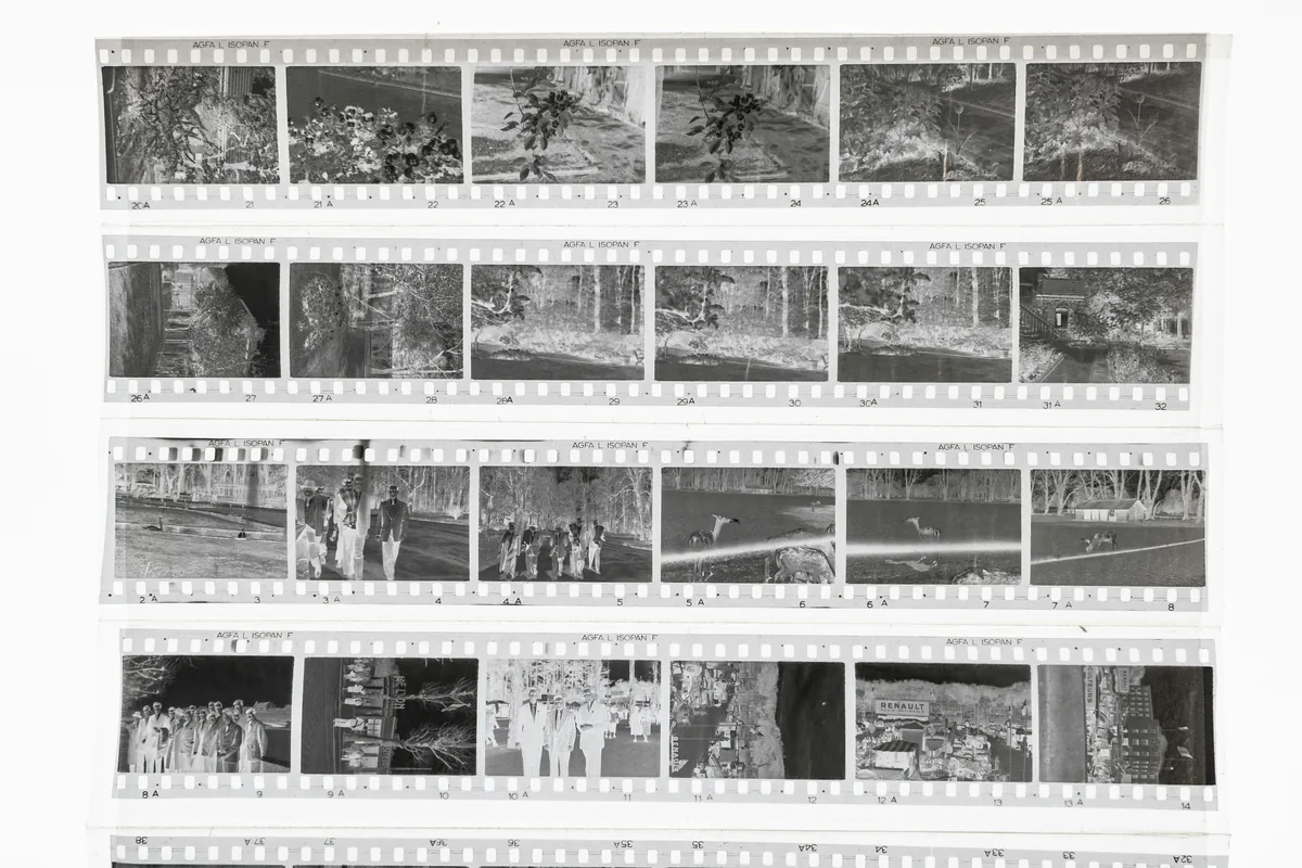 Developed black-and-white 35mm negative strips in rows, with sprocket holes visible along both edges.