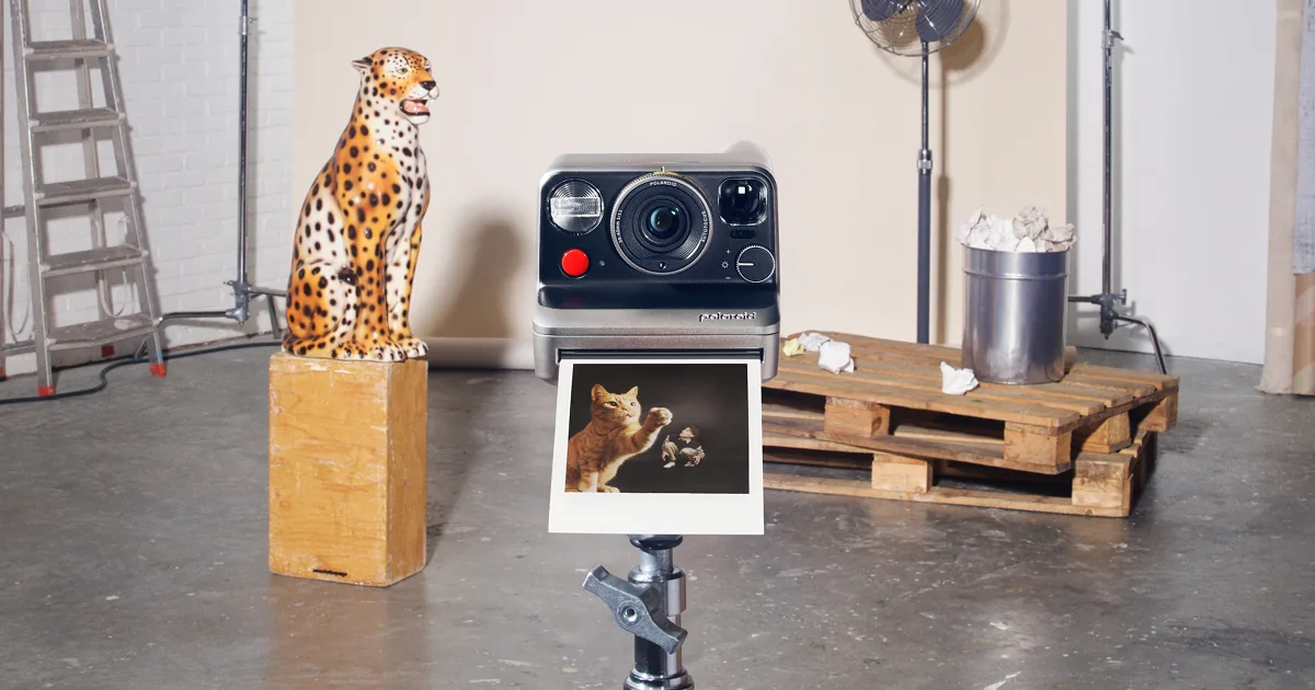 Polaroid Mod on a studio stand with a cat print, beside a spotted cat sculpture and wooden pallets.